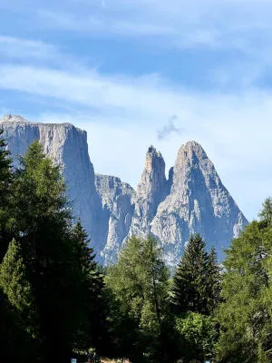 Dolomite rock spires rising behind a frame of spruce trees.