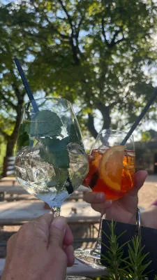 Two glasses clinking outdoors, one with a spritz.
