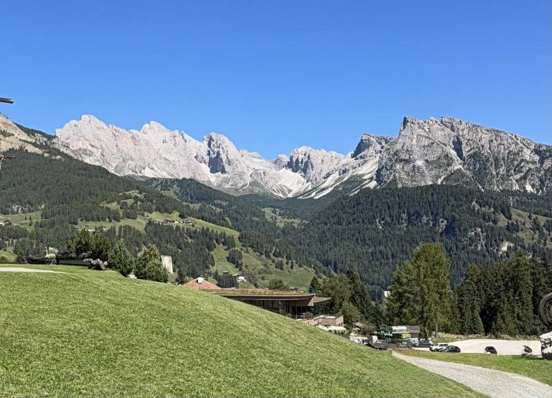 A sloping meadow and, beyond the woods, the pale walls of the Dolomites under a clear sky.
