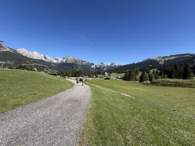 A wide, compacted path curving through the meadows, with mountains on the horizon.
