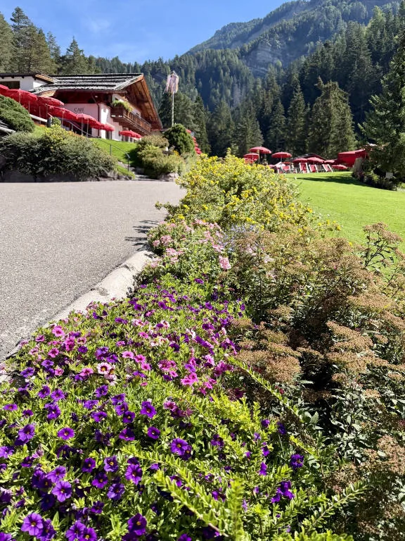 A bed of purple flowers along the road, with red deckchairs and the woods in the background.