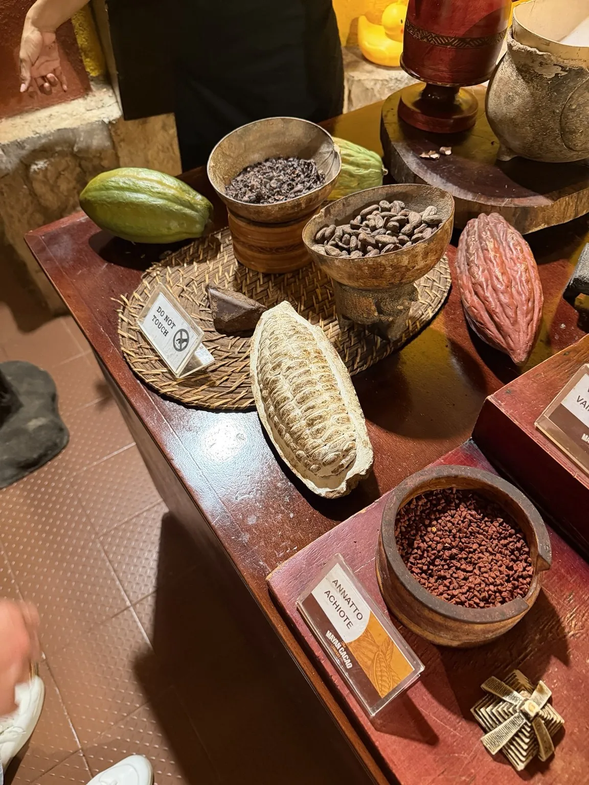 Open cacao pods, bowls of beans and roasted cacao on a wooden counter.