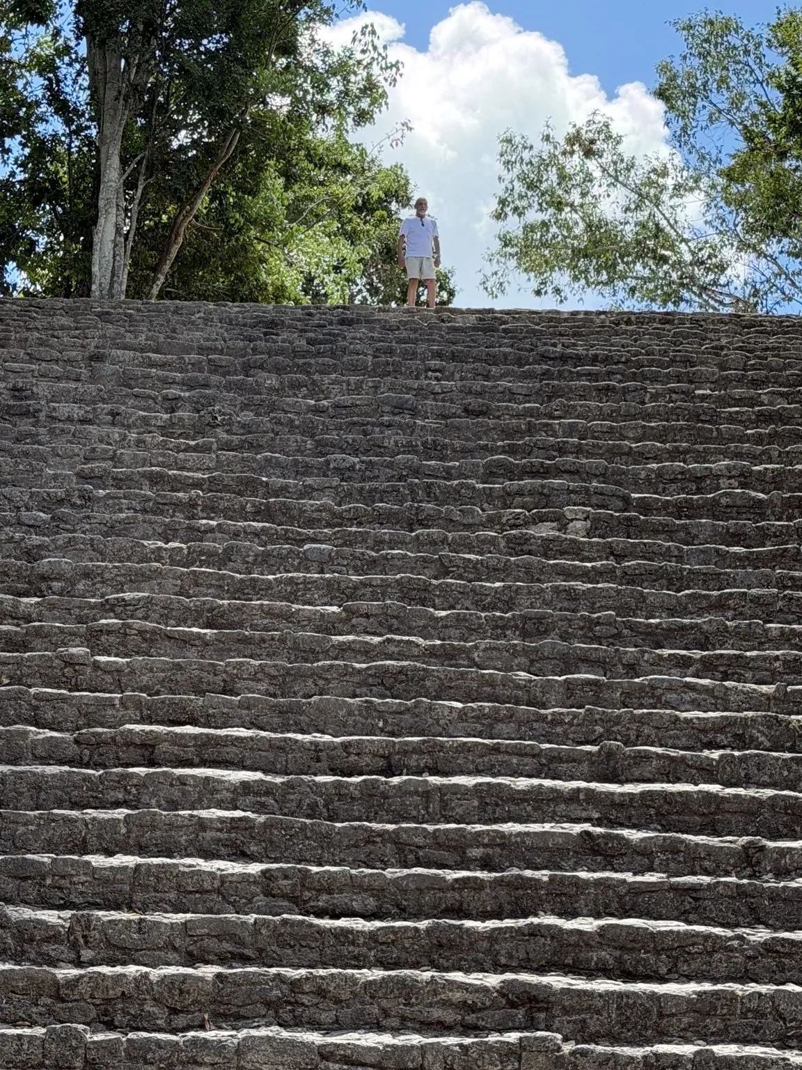 A steep flight of dark stone steps climbing among the trees.