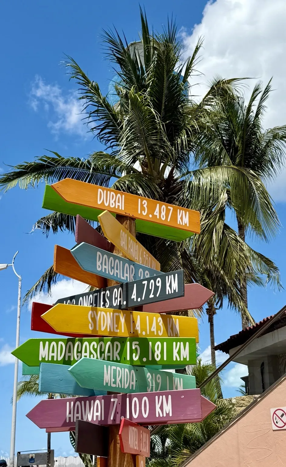 A post with lots of colourful arrows showing the distances to faraway cities, in front of a palm tree.