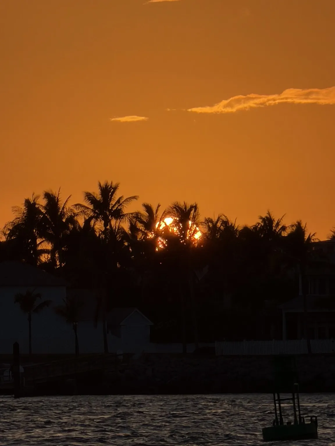 The sun setting behind the silhouettes of palm trees, under an orange sky.