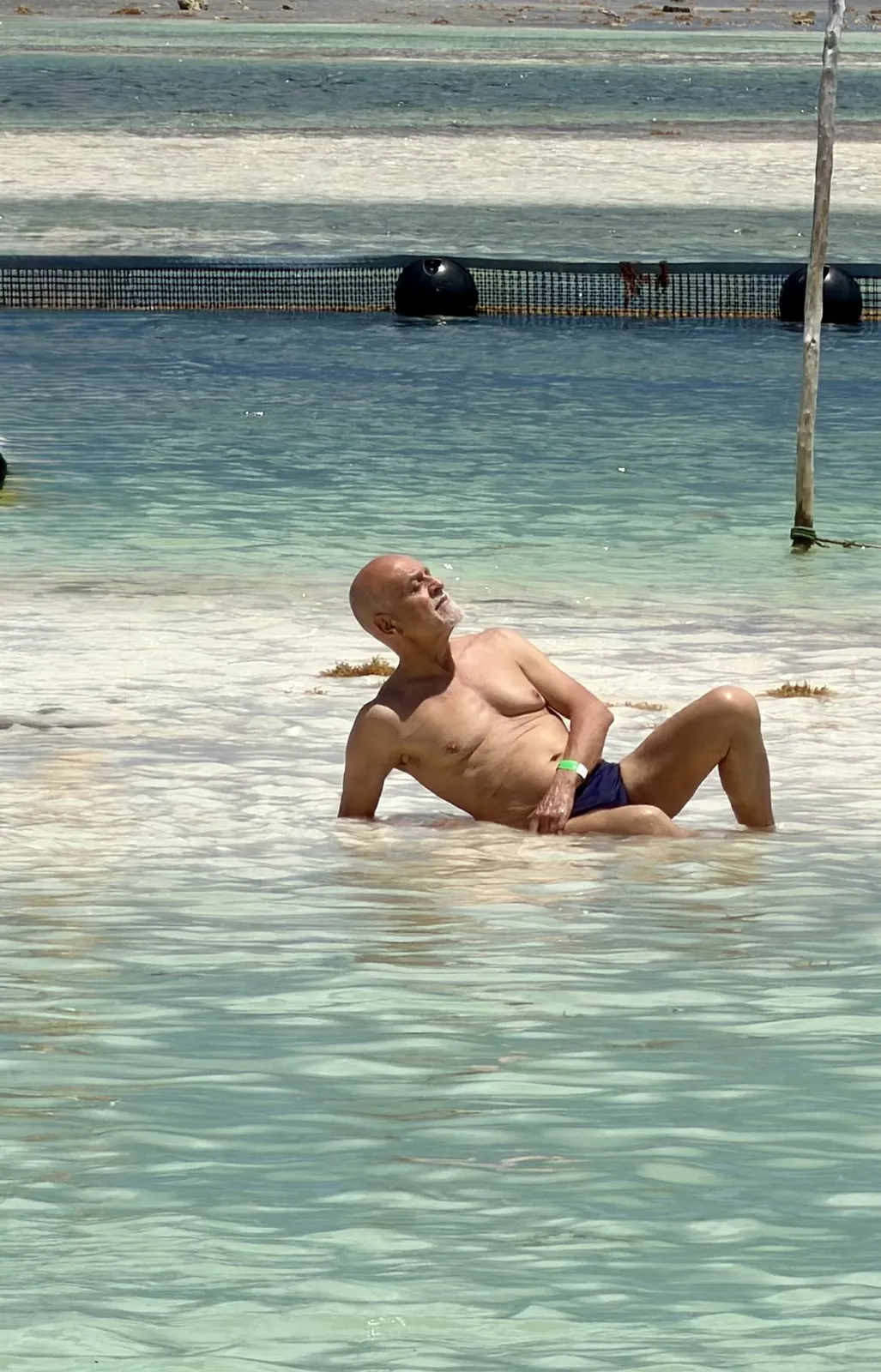 Anna’s companion lying in the shallow, clear water near the shore.