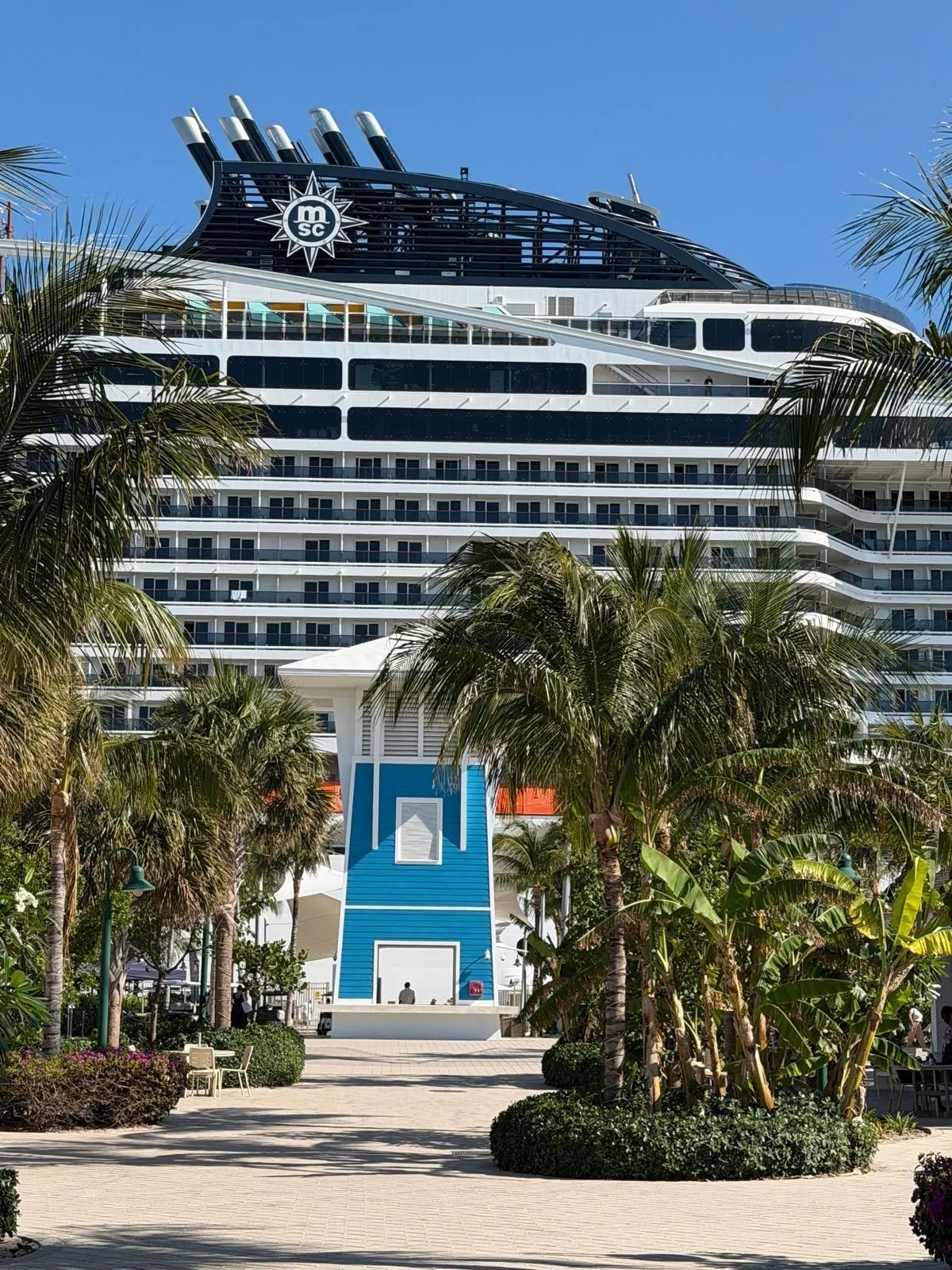 The cruise ship towering behind the palm trees, at the end of a path.