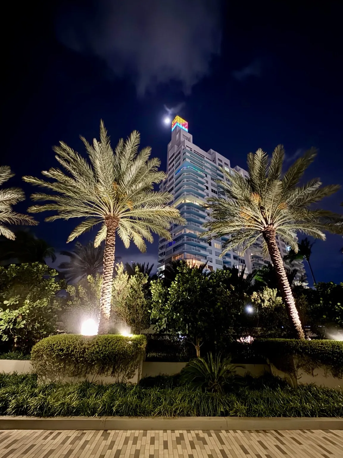 Palm trees lit from below in front of a tall building, under a dark blue sky.