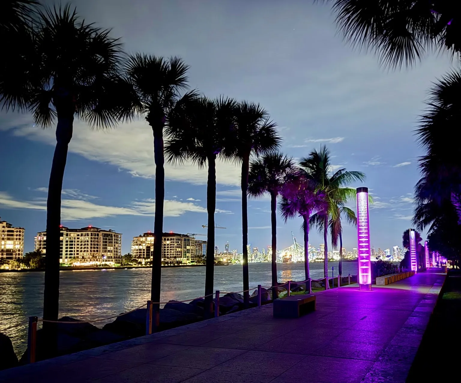 A waterfront walkway at dusk, with silhouetted palm trees and purple lights along the path.