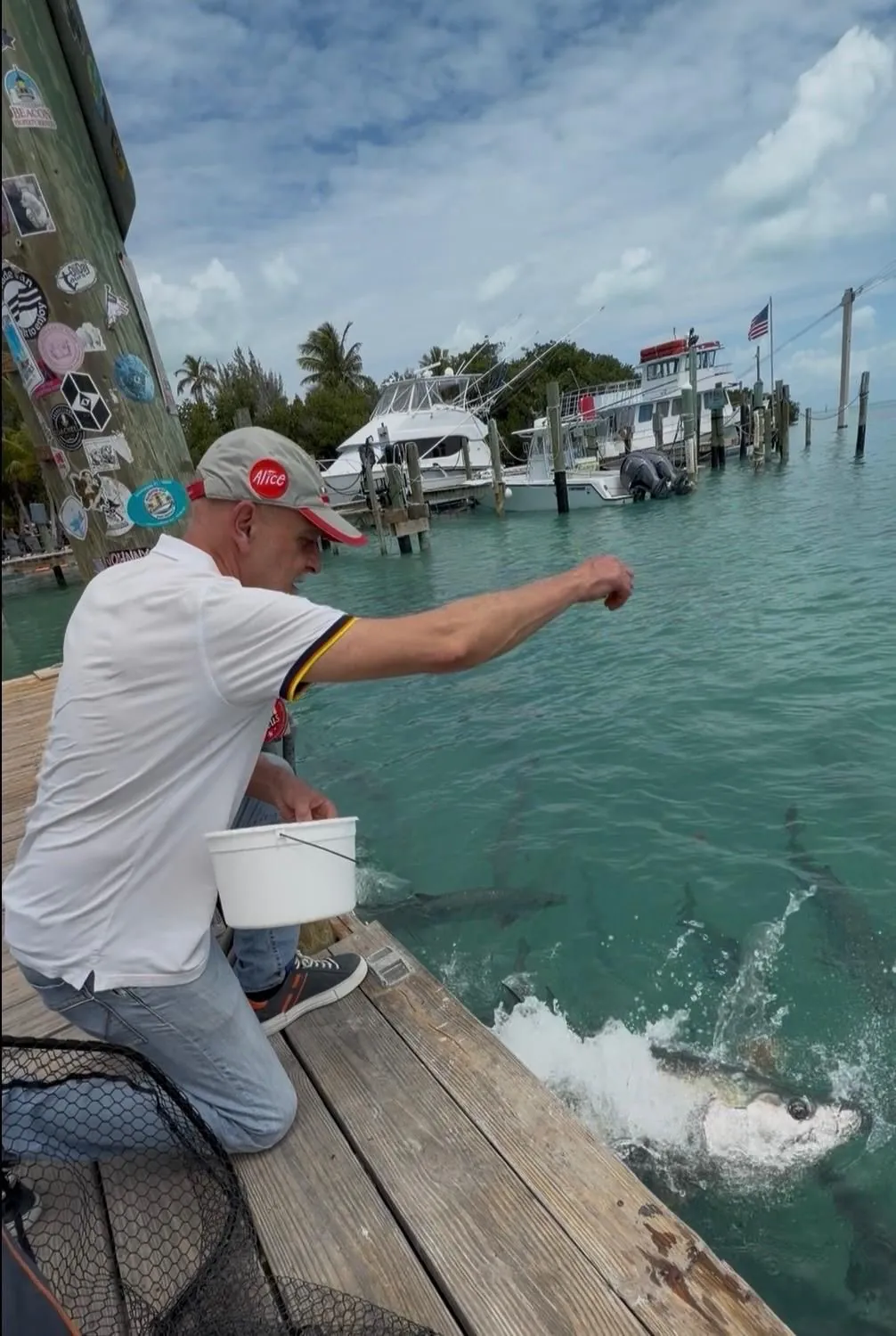 Anna’s companion, kneeling on the pier with a bucket, stretches his arm out over the water where the tarpon surface.
