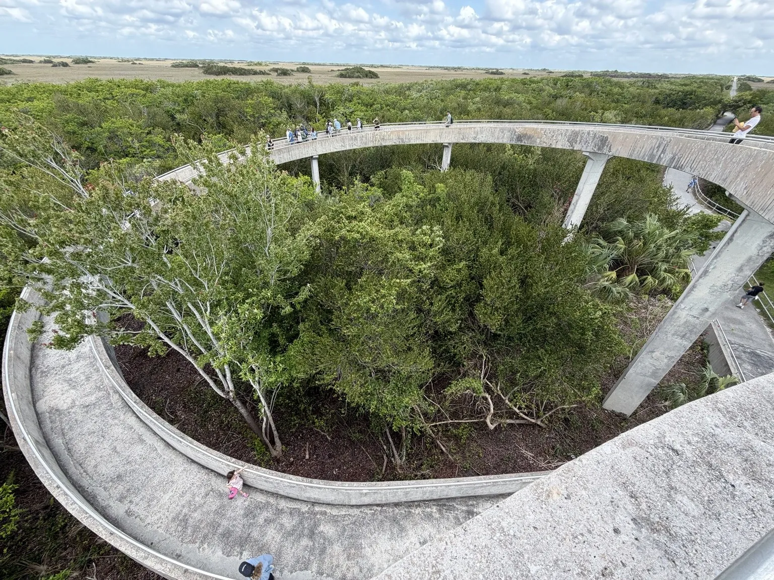 The concrete ramp spiralling up among the trees, seen from above.