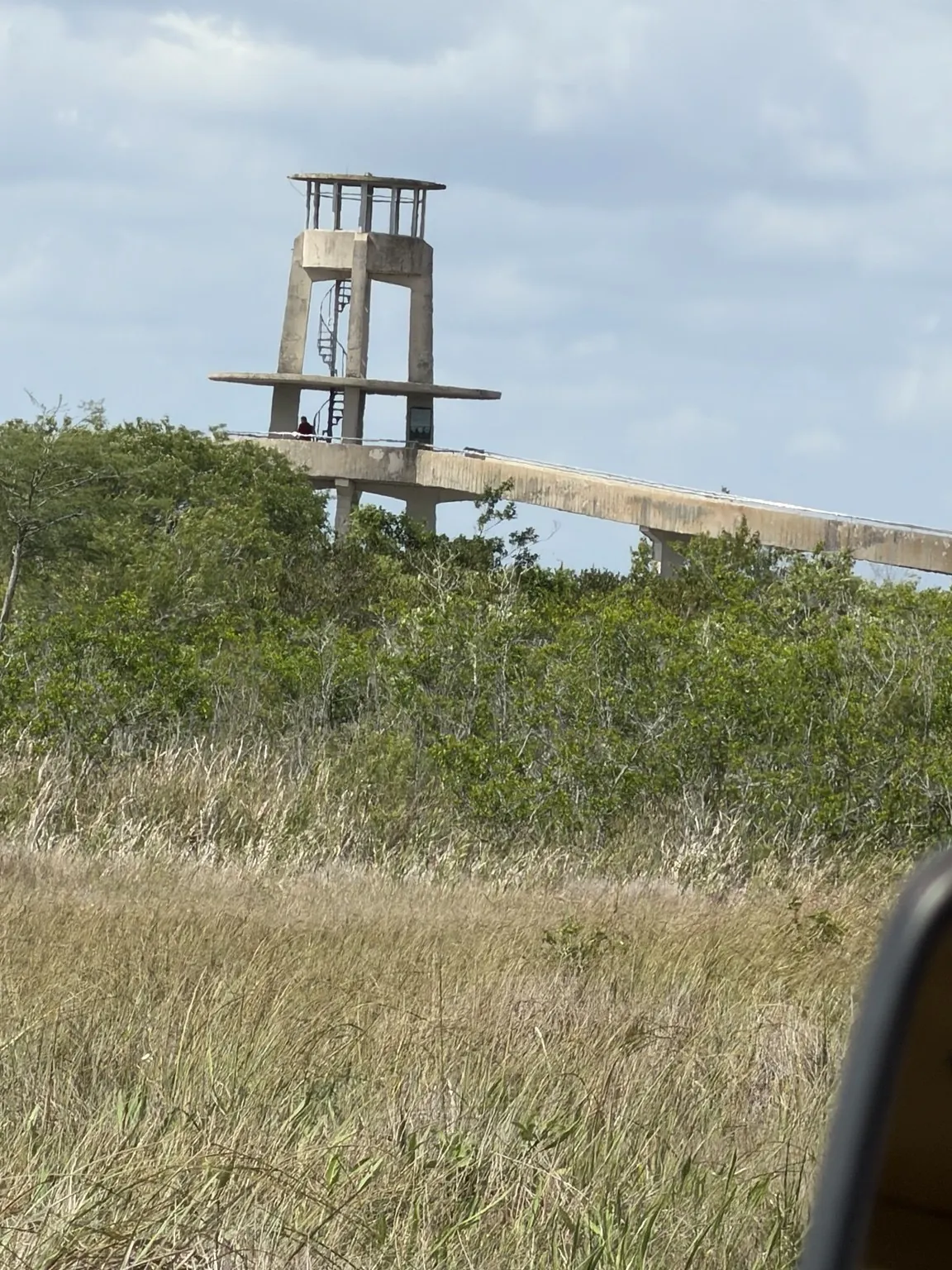 The concrete observation tower and its long ramp, above the vegetation.