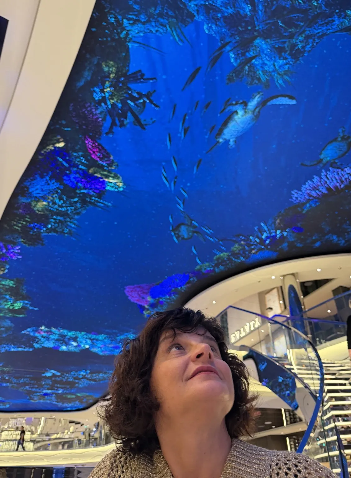 Anna looks up at the enormous LED ceiling, which shows a blue seabed with fish and a turtle.