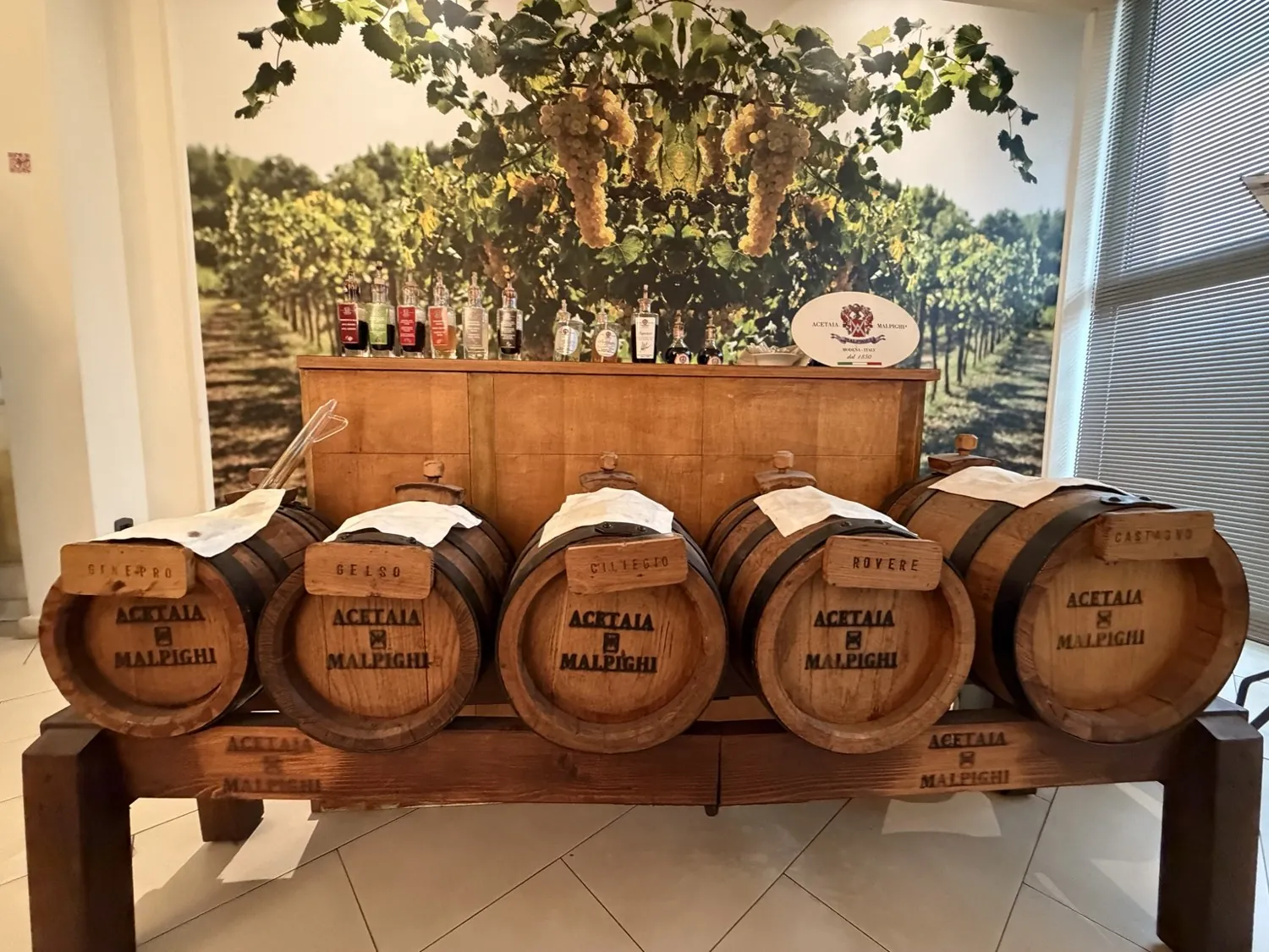 Cinque botticelle con la scritta «Acetaia di Malpighi» allineate su un mobile di legno, con le bottiglie di aceto esposte sopra.
